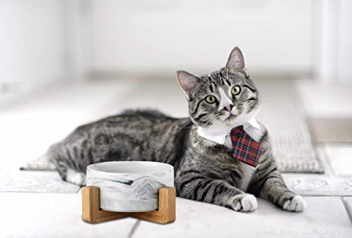 Ceramic Pet Bowls with Stand - Dog Cat Water Bowl and Food Dish -Heavy Weighted & No Tip Over Pet Comfort Feeding Bowls -Dishwasher Safe & Easy to Clean