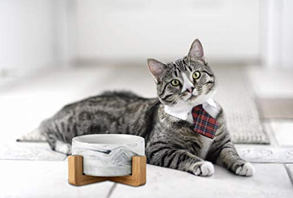 Ceramic Pet Bowls with Stand - Dog Cat Water Bowl and Food Dish -Heavy Weighted & No Tip Over Pet Comfort Feeding Bowls -Dishwasher Safe & Easy to Clean