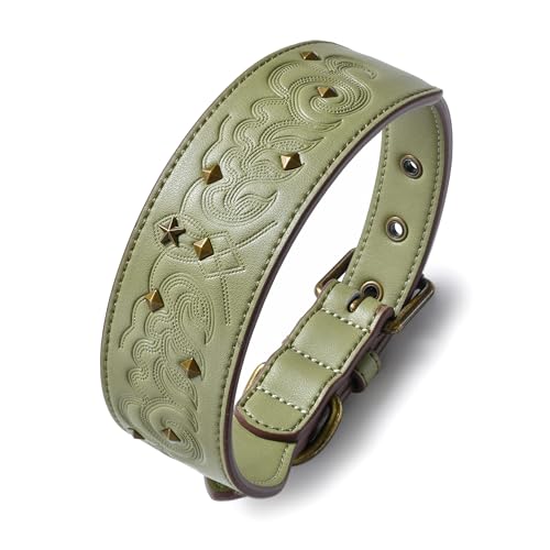 Blueberry Pet Premium Embossed Sage Green Glam Silver-Powered Freshness Microfiber Leather Dog Collar with Antique Brass Studs - color: Sage Green, size: Large