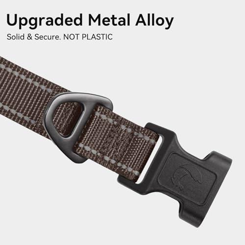 Joytale Reflective Dog Collar, Soft Neoprene Padded, Metal D-Ring, Nylon Pet Collar Adjustable for Puppy and Small Dogs, Brown, XSmall - color: Brown, size: X-Small (Pack of 1)