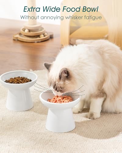 vancasso Elevated Cat Food Bowls 2-Pack, 6.2" Wide Shallow Cat Feeding Bowl for Whisker Fatigue, 5.1" Height Ceramic Raised Food Bowls for Senior Cats, Anti Vomit, White - color: White-Food 2-pack