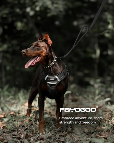 Dog Leash 6FT - Heavy Duty Dog Leash with Traffic Padded Double Handles - Safety Control Traning Leash for Large Medium Dogs - color: Black