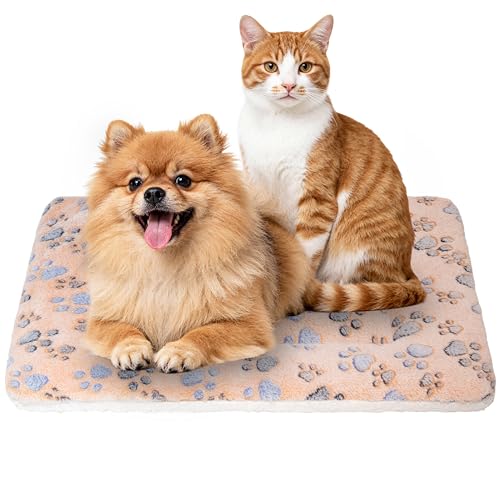 Dog Bed Mat,Soft Dog Kennel Pad with Cute Pattern,Multi-Size Durable & Machine Washable,Pet Pad for Dogs & Cats (Orange Paw, X-Large) - color: Orange Paw, size: 33.1''L×22.4''W×1.4''Th