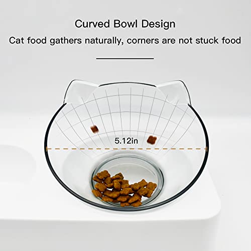 Double Elevated Dog Cat Bowl, Pets Water and Food Bowl Set, 15° Raised Tilted Dishes Indoor for Kitten, Puppies, Small or Medium Size Dogs Cats