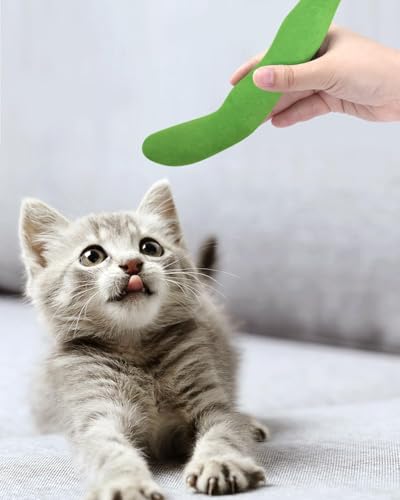CiyvoLyeen Catnip Toy, Green Bean Cat Toys Kitten Supplies Interactive Kicker Vegetables Vegan Dental Health Teething Chew Gift for Cat Lovers Indoor 4PCS - color: Bean - 4Pcs