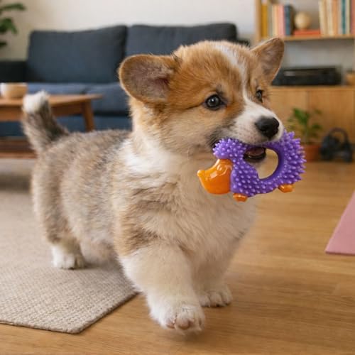 Cutie Chewies Hedgehog Dental Dog Chew Toy — Multi-Textured, Massages Gums, Floats & Bounces for Teething Puppies & Small Dogs, 5" x 3.5" x 1" - color: Hedgehog