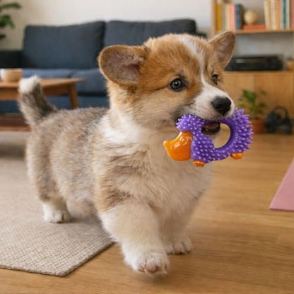 Cutie Chewies Hedgehog Dental Dog Chew Toy — Multi-Textured, Massages Gums, Floats & Bounces for Teething Puppies & Small Dogs, 5" x 3.5" x 1" - color: Hedgehog