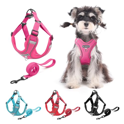 Dog Harness and Leash Set, Adjustable Triangle, Reflective Adjustable Puppy Vest, No Pull Soft Mesh Harness for Small, Medium Dogs, Cats (Fuchsia, S) - color: Fuchsia, size: S