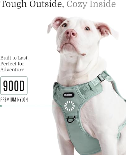 2026 New Edition, Fei & Eve MagEase Dog Harness - Instant Magnetic Buckle | 3-Point No-Pull Control | Heavy-Duty 900D Nylon | Dual Safety Handles | Breathable Mesh | Adjustable Fit | Small,Green - color: Glacier Green, size: S
