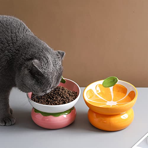 Ceramic Raised Cat Bowl - Pink Elevated Food Bowl for Indoor Cats, Anti-Vomiting & Spine Protection, Cute Tilted Dish for Flat-Faced Cats and Kittens (Strawberry Shaped) - color: Pink