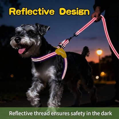 Kazazoo No Pull Small Dog Harness and Leash Set, Adjustable Puppy Soft Vest Harness with Breathable Mesh Padded, Reflective Lightweight Harness with Buckle for Extra Small Medium Dogs, Pink XS - color: Purple&Pink, size: XS