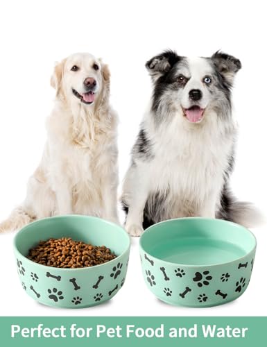 UBEE Ceramic Dog Bowl Set of 2, 6.5 inch Dog Food Bowl Dish with Bone Paw Pattern, Pet Food Water Dish Feeding for Small and Meidum Dogs and Large Cat, Green - color: Green-dog paw, size: 6.5 inch x 2