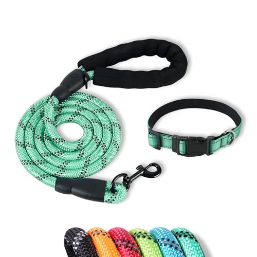 Dog Leash with Dog Collar, 5FT Reflective Heavy Duty Leash with Padded Handle& Adjustable Collar for Small Medium Large Dogs for Walking, Running, Park Play Night Safety(Teal Blue, M) - color: Teal Blue, size: M