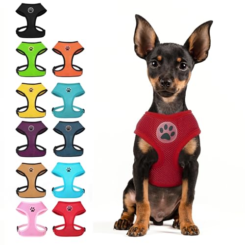BINGPET Small Dog Harness, No Pull Dog Harness Small Sized Dogs, Soft Light Breathable Mesh Puppy Vest with Safety Buckle-Adjustable Step in Pet Harnesses for Easy Walking, Running, Training - color: Red, size: S (NECK: 12", CHEST: 14"-18")