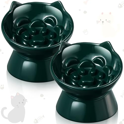 Funnymoom 2 Pcs Ceramic Raised Slow Feeder Cat Bowl, 5.91inch Elevated Cat Slow Feeder Bowl Tilted Anti Vomiting for Dry Wet Food and Water Easy to Clean High Edge(Dark Green) - color: Dark Green