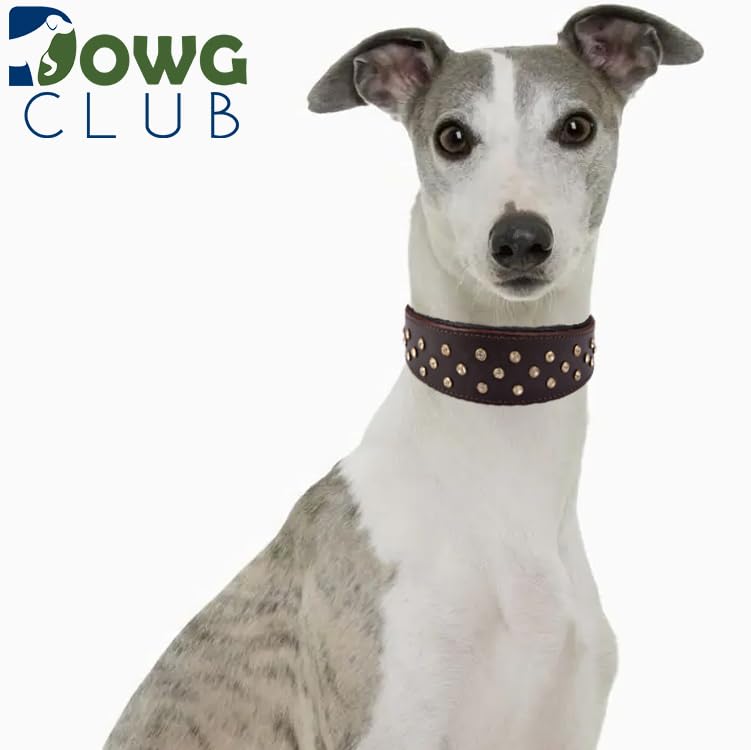 Genuine Leather ‘Cupola’ Series Dog Collar | Rhinestone | Soft, Cushion Padding, Handmade | Best for Medium, Large, XL Breeds (XL (Neck Size 22.5"-25.5"),Cherry - Silver Crystal Stones) - color: Cherry - Silver Crystal Stones, size: XL (Neck Size 22.5"-25