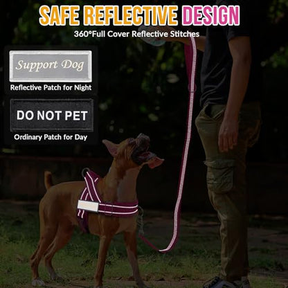 Lukovee No Pull Dog Harness and Leash Set - Heavy Duty Dog Vest with Soft Velvet Padding for Medium Large Dogs, Adjustable Reflective Tactical Harness with 2 Control Handles & Front Clip (XL, FU) - color: Fuchsia, size: X-Large