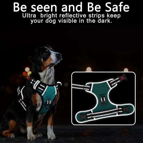 No Pull Dog Harness, Release at Neck Reflective 3 Snap Buckles Adjustable No Choke Pet Vest with Front & Back 2 Leash Clips, Soft Padded Control Training Handle for Small Medium Large Dogs - color: Lock-Turquoise, size: Medium (Pack of 1)