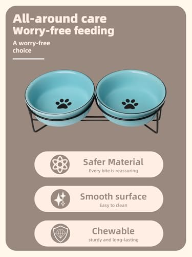 GDCZ Ceramics Raised Cat Bowls with Heighten Metal Stand,15 Ounces Turquoise - color: Turquoise