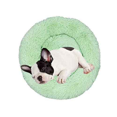 Plush Dog Bed Pet Calming Fur Bed, Fluffy Donut Round Cat Beds, Anti-Slip & Anti-Anxiety, 16 Inch for Puppy and Kitties, Apple Green, XS - color: Apple Green, size: XS - 16 inch