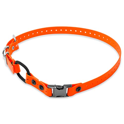 Educator 3/4-Inch Dog Training Collar Strap–ONLY Fits ME-300, ET-300/400, EZ-900, PE-900 & PG-300 Receivers – NOT Compatible with FE-580, ET-800 or UL-1200–Quick Snap Biothane Bungee Collar, Orange - color: Orange