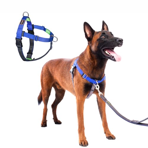 No Pull Dog Harness Freedom Walking, Easy Walk with Front and Back Stainless D-Rings, Sewn-in Instructions Tags for Easy Use, for Medium/Large Dogs Weight 40-60 lbs (Blue, Med/Large) - color: Blue, size: Medium/Large
