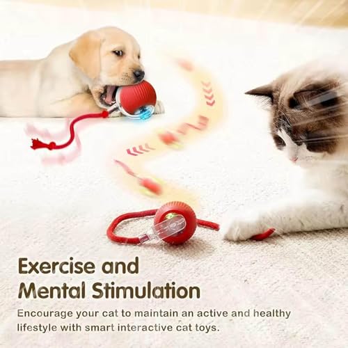 2 PCS Interactive Cat Toy Rolling Ball Chewie Viral Dog Ball, Smart Automatic Rolling Pet Balls,Automatic Moving Electric Cat Toy - color: Color1