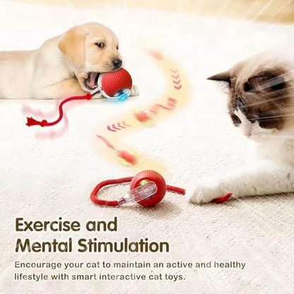 2 PCS Interactive Cat Toy Rolling Ball Chewie Viral Dog Ball, Smart Automatic Rolling Pet Balls,Automatic Moving Electric Cat Toy - color: Color1