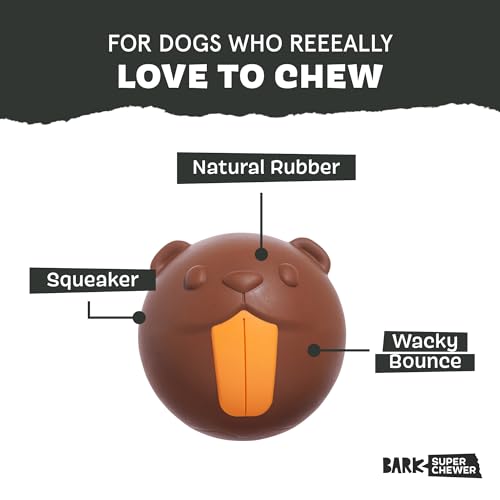 Barkbox Ricochet The Nutria Dog Toy – All-Rubber Design with Fun Squeak, Perfect for Enthusiastic Chewers and Durable Playtime - style: Ricochet The Nutria