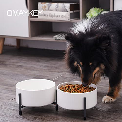 32 oz Ceramic Dog Cat Bowl Set of 2 with Elevated Metal Stand - 6 Inch Ceramic Round Pet Food and Water Feeder Bowl Dish for Cats & Dogs - White