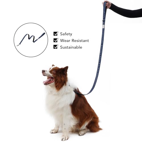 Soft Leather 4ft Dog Collar and Leash Set,Stylish 4ft PU Leather Dog Training Leash, Adjustable Durable Pet Collars with Quick Release Buckle for Large Dogs,Medium Dogs,Terracotta (Blue, 4 feet) - color: blue