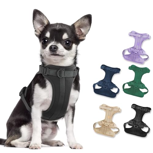 No Pull Lightweight Dog Harness: Adjustable Breathable Mesh Pet Vest Harness with Soft & Comfortable Cushion, for Small Medium Large Dogs (Small, Black) - color: Black, size: S:Neck=11"-14"/Chest=15"-21"