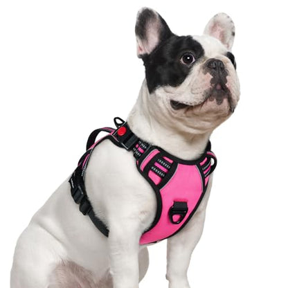 rabbitgoo Dog Harness Small Sized Dog, No Pull Pet Harness with Soft Padded Handle, Adjustable Reflective Vest with 3 Buckles, Easy Walking Harness with 2 Leash Clips, Pink, S - color: Pink, size: Small
