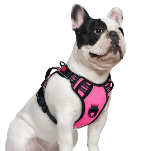 rabbitgoo Dog Harness Small Sized Dog, No Pull Pet Harness with Soft Padded Handle, Adjustable Reflective Vest with 3 Buckles, Easy Walking Harness with 2 Leash Clips, Pink, S - color: Pink, size: Small