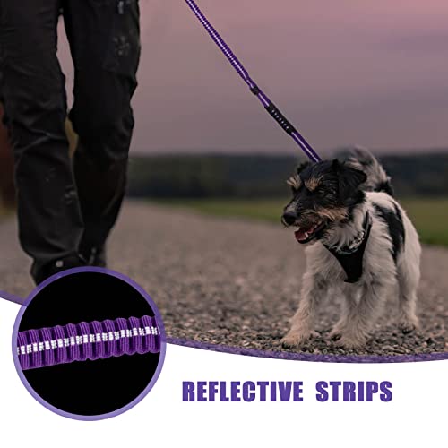 Raipult Tactical Dog Leash Heavy Duty, 4-6FT Shock Absorbing Bungee Leash with Quick Release Clip& 2 Handles, No Pull Waking Lead with Car Seatbelt for Medium Large Dogs that Pull,Purple - color: Purple