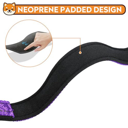 Reflective Dog Collar, Adjustable Soft Neoprene Padded Nylon Pet Collars with Buckle for Puppy and Small Dogs, Cats, Purple,XS - color: Purple, size: X-Small