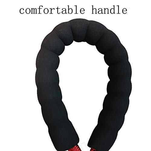 5 FT Reflective Dog Leash with Comfortable Padded Handle and Rotative Strong Metal Clasp and Flash Collar-red - color: Red