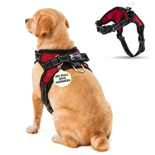 No Pull Reflective Adjustable Dog Harness with Handle- Comfortable Soft All Weather Mesh, Easy On Puppy Harness for Small Medium and Large Dogs (Red) Small - color: Red, size: Small