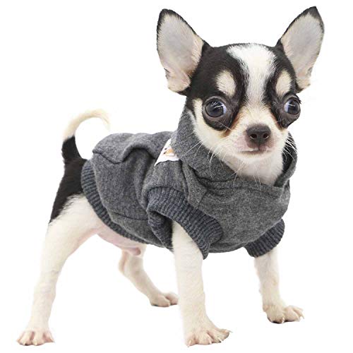LOPHIPETS Dog Cotton Hoodies Sweatshirts for Small Dogs Chihuahua Puppy Clothes Cold Weather Coat-Charcoal/XS - color: Charcoal, size: X-Small for 1.2-2.2 lbs