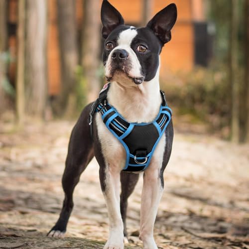 rabbitgoo Dog Harness Small Sized, No Pull Dog Vest with 3 Buckles, Adjustable Soft Padded Pet Harness with Easy Control Handle and Reflective Strips, Black & Sky Blue, S - color: Black & Sky Blue, size: Small