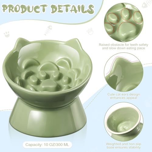 Funnymoom 2 Pcs Ceramic Raised Slow Feeder Cat Bowl, 5.91inch Elevated Cat Slow Feeder Bowl Tilted Anti Vomiting for Dry Wet Food and Water Easy to Clean High Edge(Green, Blue) - color: Green, Blue