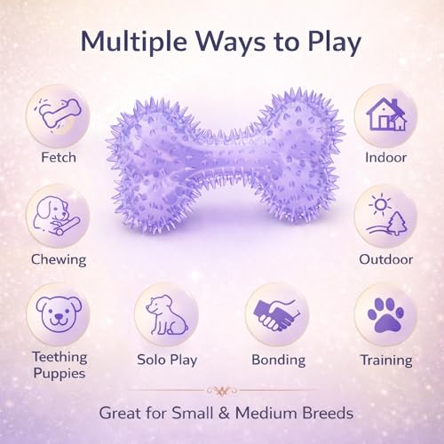 Squeaky Spiky Dog Bone Toy for Teeth Cleaning & Gum Massage 4.4 Inch Small Medium Dogs Purple | Spiny TPR Rubber Chew Toy for Fetch Play Interactive Bouncy Dental Bone Durable BPA Free Nontoxic Floats - size: Purple, Bone 1-Pack