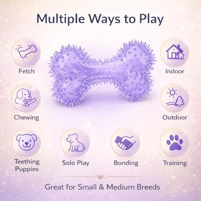 Squeaky Spiky Dog Bone Toy for Teeth Cleaning & Gum Massage 4.4 Inch Small Medium Dogs Purple | Spiny TPR Rubber Chew Toy for Fetch Play Interactive Bouncy Dental Bone Durable BPA Free Nontoxic Floats - size: Purple, Bone 1-Pack