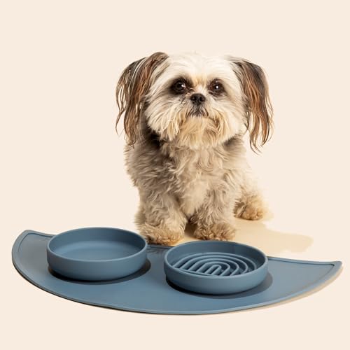 Should We Go? Slow Feeder for Dogs & Cats, The Slowdown Bowl Silicone Slow Eating Mealtime Solution with Modern Lick Mat Design, Reduces Gulping, Fits 1 Cup, 6” Across x 1.25” Tall, Small-Ocean - color: Ocean - Rainbow Design, size: Small (6” Across x 1.2