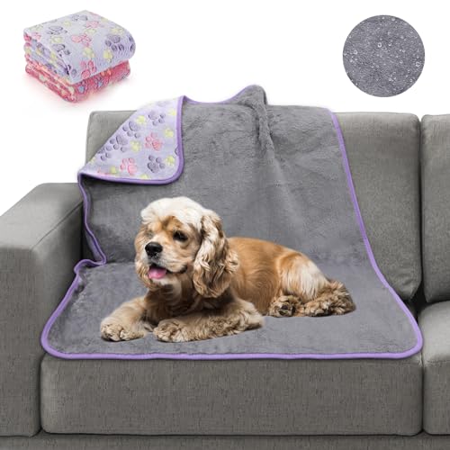 Waterproof Dog Blankets, 2 Pack Washable Dog Blankets for Bed Couch Sofa Protector Fleece Flannel Puppy Blanket Soft Plush Reversible Throw Blanket for Medium Large Dog Cat 40"×30"(Purple+Pink) - color: Purple+pink(2pack), size: 40"×30"