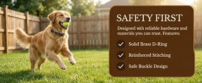 XanYu Premium Genuine Leather Dog Collar – Adjustable Heavy Duty Pet Collar with Sturdy Brass Buckle, Soft Padded & Stylish for Puppy and Small, Medium, Large Dogs (Brown)