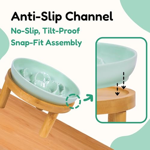 Slow Feeder Bowl, 6.3″ Elevated Cat Bowl with Stand, Melamine Wide Shallow Food Bowl, Whisker-Friendly Raised Plate, Wet Food Feeder for Slow Eating (Green) - color: Green, size: 1 Pack with Stand - 6.3''W x 1.5''H