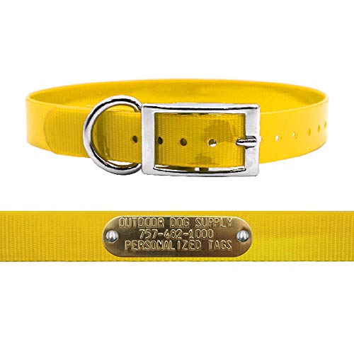 Outdoor Dog Supply 1" Heavy Duty Waterproof D-Ring Dog Collar for Medium & Large Dogs with Custom 3/4" Brass Nameplate (School Bus Yellow, 18") - color: School Bus Yellow, size: 18" Long