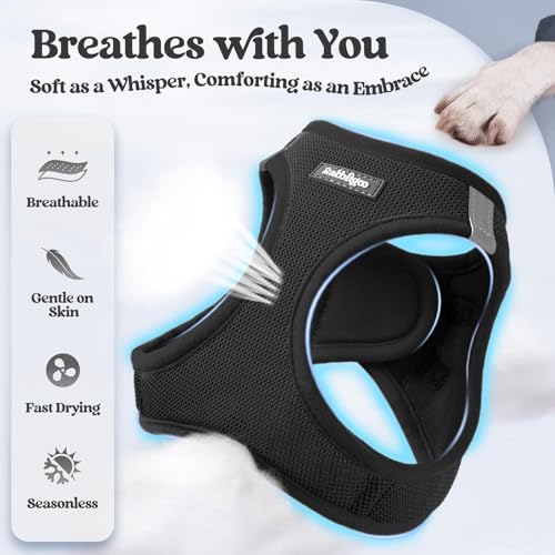 rabbitgoo Dog Harness Small Sized and Leash Set, Step in Soft Light Puppy Vest, Breathable Mesh Pet Harness, Reflective for Safe Easy Walking, Black XXS - color: Black, size: Xxs (chest: 12.4 - 14.2")