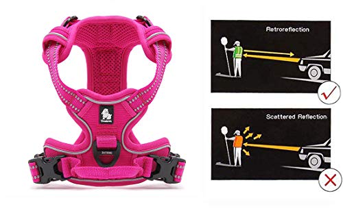 JUXZH Truelove No Pull Dog Harness with Easy Control Handle and 2 Leash Attachments,Reflective Adjustable Pet Vest - color: Fuchsia, size: Small (Pack of 1)